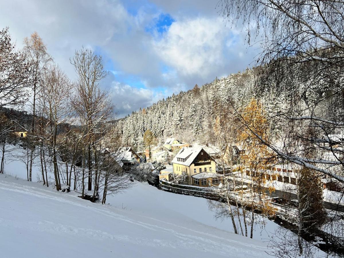 Urige Berghuette Mit Kamin Und Sauna Im Erzgebirge Nahe Schwarzwassertal Pobershau Exterior photo